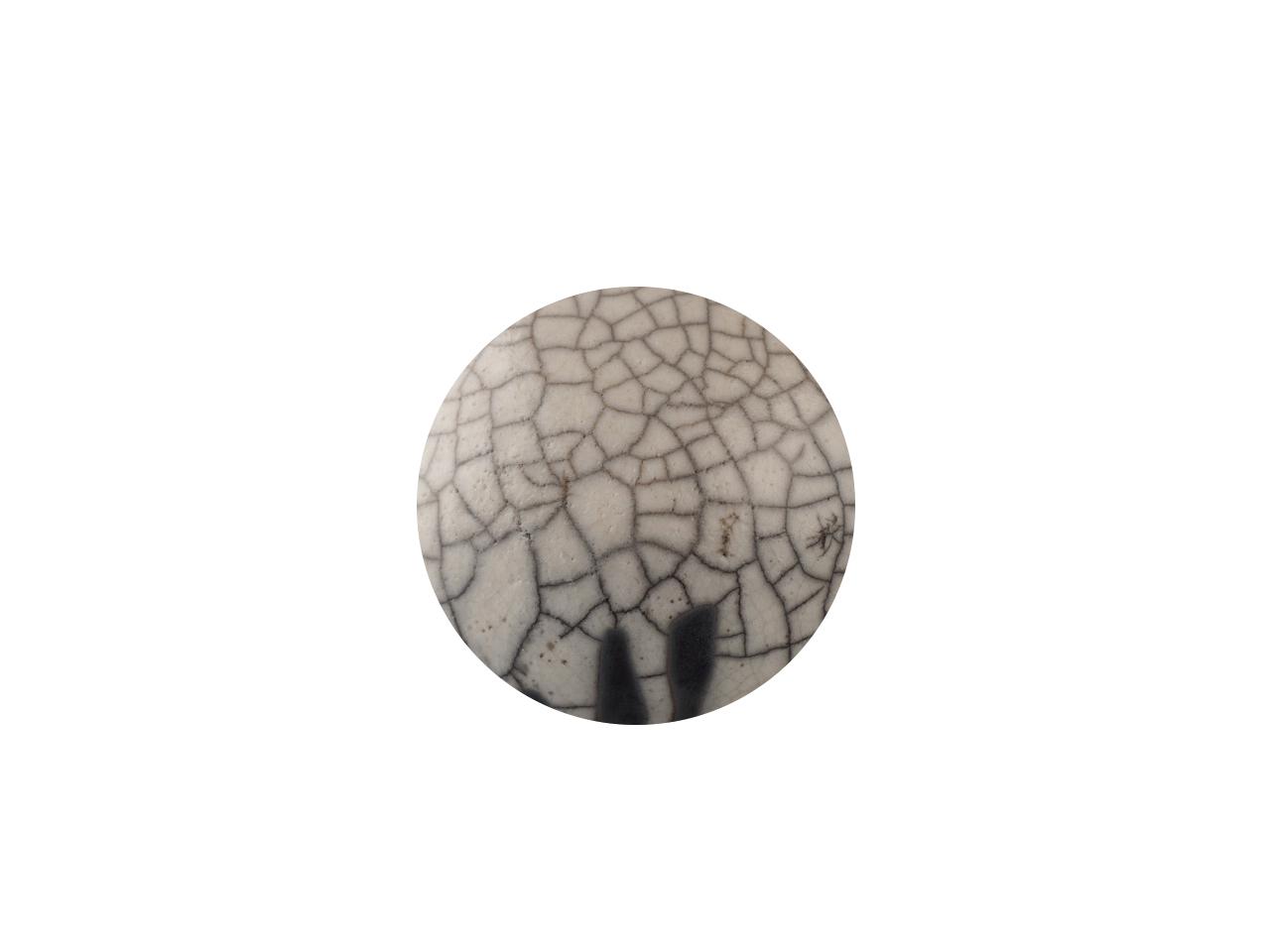 Rakuglasyr Transparent - G1          1 L