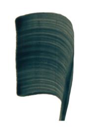 DETAIL9618