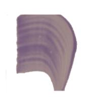 DETAIL9619