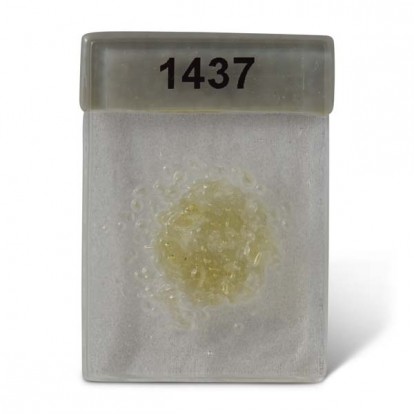  Frits 1437-92 med. Light Amber 