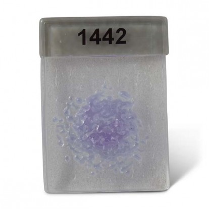  Fritta 1442-92 med. Neo-Lavender   450 g 