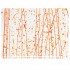  G-Skiva 4211-30 Clear, Orange Str./Red/Y 