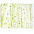  Glass sheet 4212-30 Clear, Lime Str./Grn./Li 