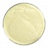  Glaspulver 1120-98 Canary Yellow   450 g 